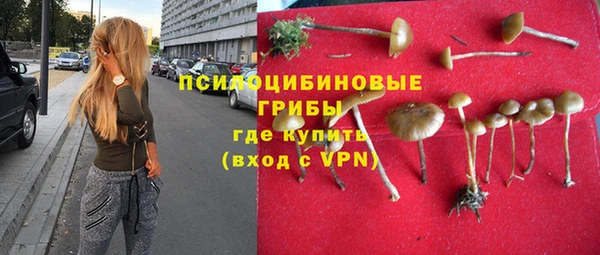 СК Армянск
