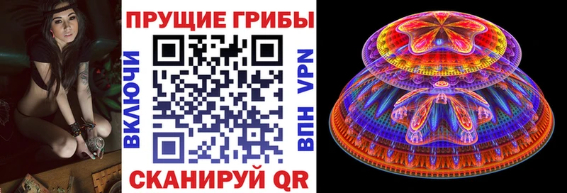 купить закладку  Осташков  ОМГ ОМГ как зайти  Псилоцибиновые грибы Psilocybe 